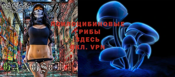 первитин Белокуриха