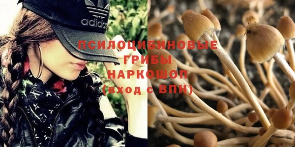 первитин Белокуриха
