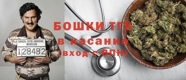 спиды Богородск